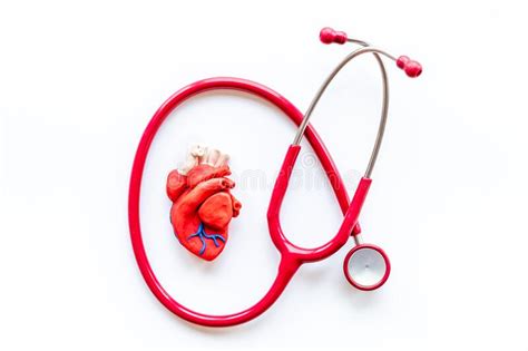 Cardioigy Disease Treatment Heart Model With Stethoscope Top View