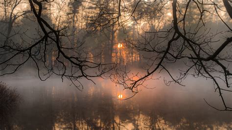 Wallpaper Lake Mist Reflection Sunset Forest Trees Resolution