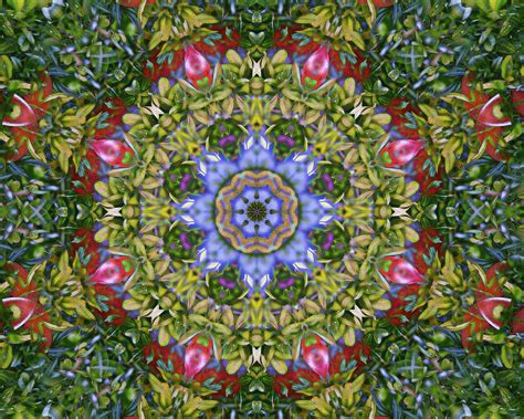 Colorful Kaleidoscope Circle Digital Art By Roy Pedersen Fine Art America