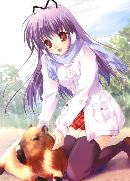 Capybara Animal Zerochan Anime Image Board
