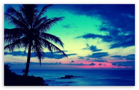640 x 853 jpeg 687 кб. Tropical Sunrise Ultra HD Desktop Background Wallpaper for ...