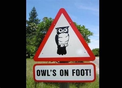 41 Best Odd Road Signs Images On Pinterest Funny Signs Funny Street