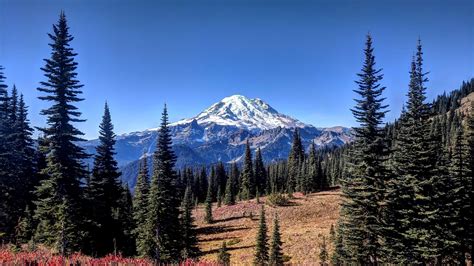 Why I live here, Mt. Rainier : Seattle