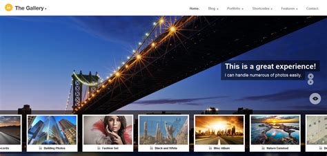 21 best wp themes photo gallery photo gallery photograph