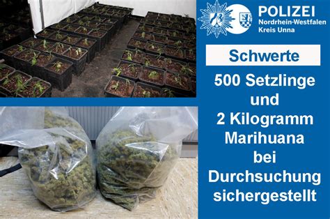 Dein marktplatz für wohnungen, häuser und immobilien. Cannabis-Plantage mit 500 Stecklingen in Schwerter Wohnung ...