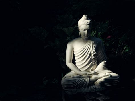 The great collection of lord shiva hd wallpapers for desktop, laptop and mobiles. Buddha Wallpapers: Free HD Download 500+ HQ | Unsplash
