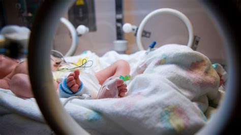 Premature Baby Immune System Newborn Baby