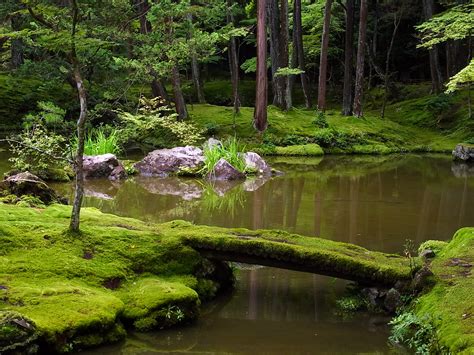 Moss Garden Kyoto World Of Wanderlust