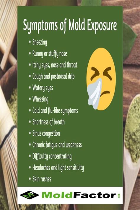 When it comes to mold, of all the rooms in your house your bedroom is the most vulnerable. Pin on Mold Symptoms and Remedies