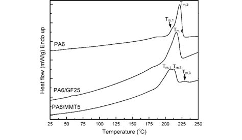 Dsc Curves Of Pa6 Pa6mmt5 And Pa6gf25 Systems At Heating Rate Of 10