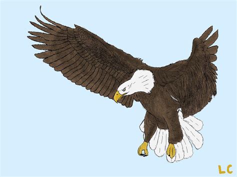 Ms Paint Flying Bald Eagle By Zeecaptein On Deviantart