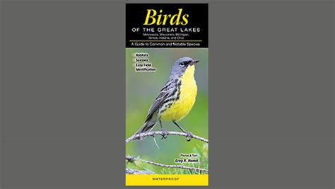 Natural Encounters Birding Tours Birds Of The Great Lakes Illinois