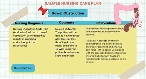 Bowel Obstruction 5 Nursing Diagnosis Nursing Interventions