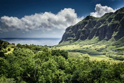 Oahu Hidden Gems & Waimea Botanical Garden/Waterfall tour in Hawaii