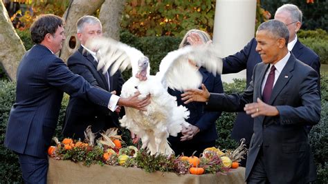 president obama s turkey pardons over the years