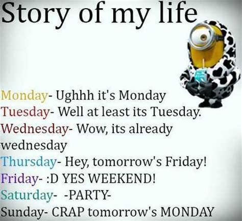 Are you looking for a quote of the week to brighten up your day and your week? Funniest Minions Quotes Of The Week
