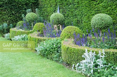 Box Parterre With Bo Stock Photo By Carole Drake Image 0451406