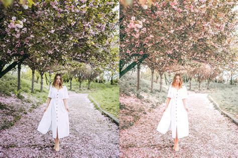 How do i migrate profiles from lightroom classic to. Free Spring Instagram Filter - Lightroom Preset on Behance