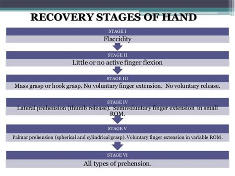 Brunnstroms Hand Recovery Stages