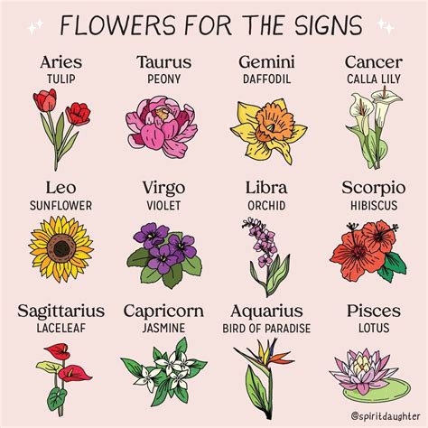 Spiritdaughter Shared A Photo On Instagram “may Flowerseach Zodiac