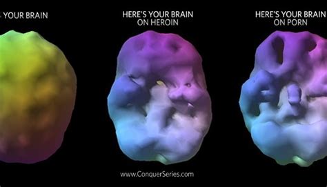 Pornography On The Brain