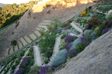 Pin By Ryan Meyers On Patios Walkways Stairs Terraced Vegetable