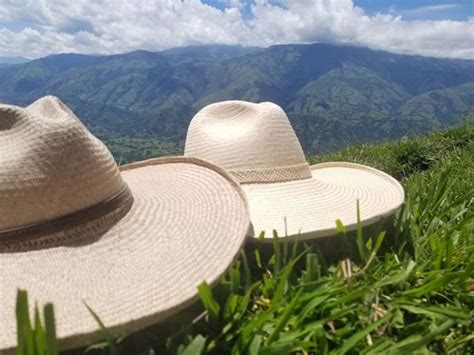 Top 5 → Sombreros Colombianos Más Representativos Del 2022