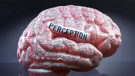 Perception And A Human Brain Stock Illustration Illustration Of Brain