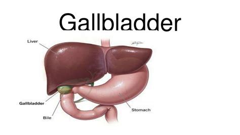 Ppt Gall Bladder Surgery In Delhi By Dr Sandeep Jha Powerpoint Presentation Id