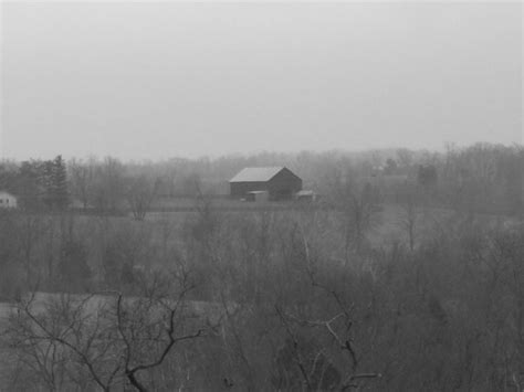 Foggy Morning By Scott Haynes