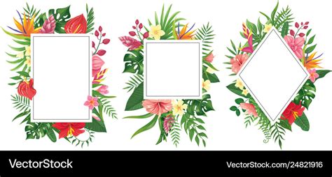 Tropical Flower Border Vector Best Flower Site