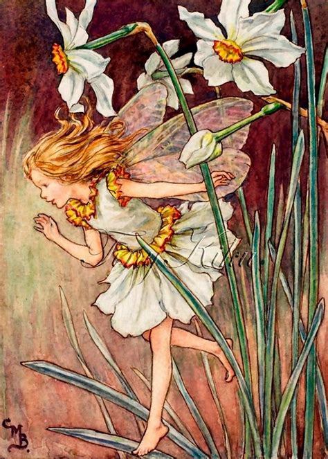 Narcissus Fairy Vintage Cicely Mary Barker Art Print Etsy Flower
