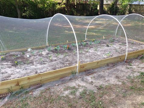 Pin by Mac on Projects to Try | Raised garden beds, Garden beds, Garden