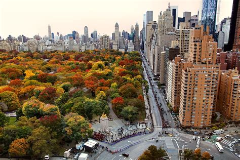 Wallpaper Park Trees Plants Cityscape Fall Aerial View New York