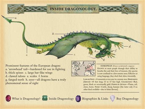 Dragonology The Complete Book Of Dragons Dragons Fandom Powered By