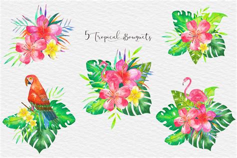 Watercolor Tropical Illustration Tropical Clipart Patterns 367092