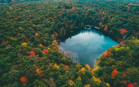 Landscape Nature Forest Lake Colorful Fall Trees Water Blue