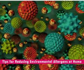 Tips For Reducing Environmental Allergens At Home Brightfire Living
