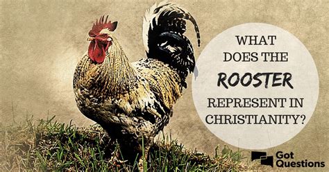 What Does The Rooster Represent In Christianity