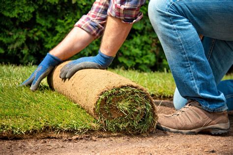 11 Steps To Laying Sod For The Perfect Lawn Mymove