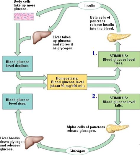 diabetes insipidus symptoms and treatment Jackson MS