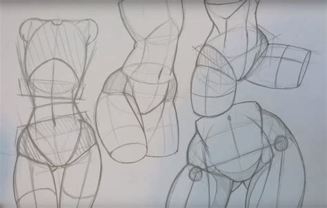 Waist Tut Drawing Body Proportions Drawing Tutorial Art Reference