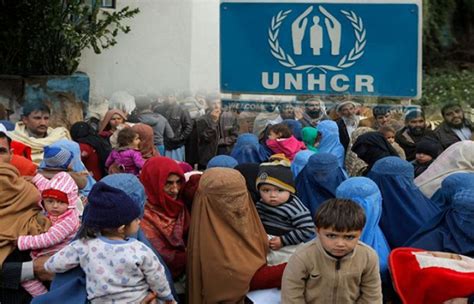Unhcr Lauds Pakistan For Serving Afghan Refugees For Four Decades Such Tv
