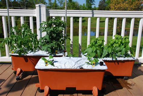 Back Porch Gardening The Earthbox My Container Of Choice