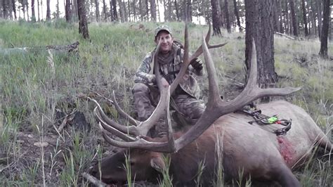This new elk sculpture from big sky carvers marc pierce signature collection depicts a bull elk making a call. Monster Archery Elk Colorado with Brian Elwarth. great bow ...