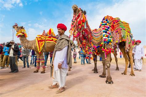 Camel safari in the desert of rajasthan is one of the best safaris. Rajasthan Pushkar Camel Fair Tour 2019 | Pushkar Camel ...