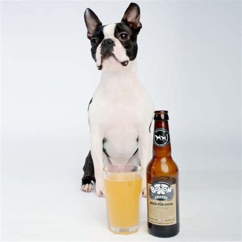 Buy Woofandbrew Bottom Sniffer Dog Beer 300ml Online At Low Price In