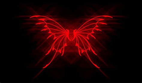 Neon Butterfly Wallpaper Wallpapersafari