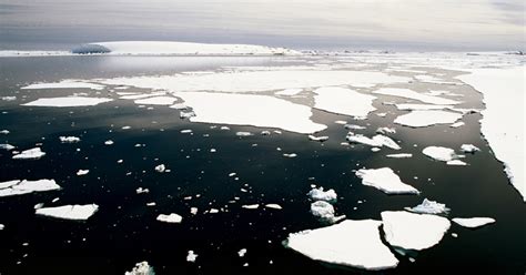 Antarctic Sea Ice Reaches Lowest Coverage On Record Canary