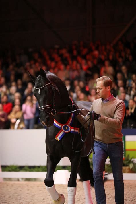 With a grand prix score of 80.7% at the cdn tolbert we edward gal has stated that he thinks that total us is in fact a better grand prix dressage horse than totilas and we are getting closer to finding out. Black Magic In Beeld: Totilas terug én Total US komt er ...